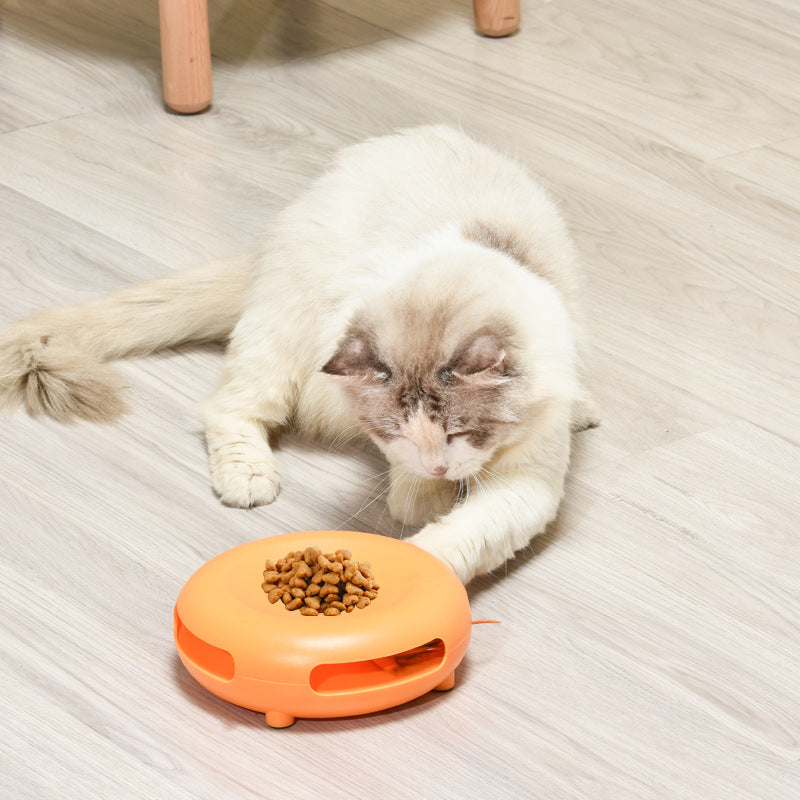 Entertaining Feline Feeding Station