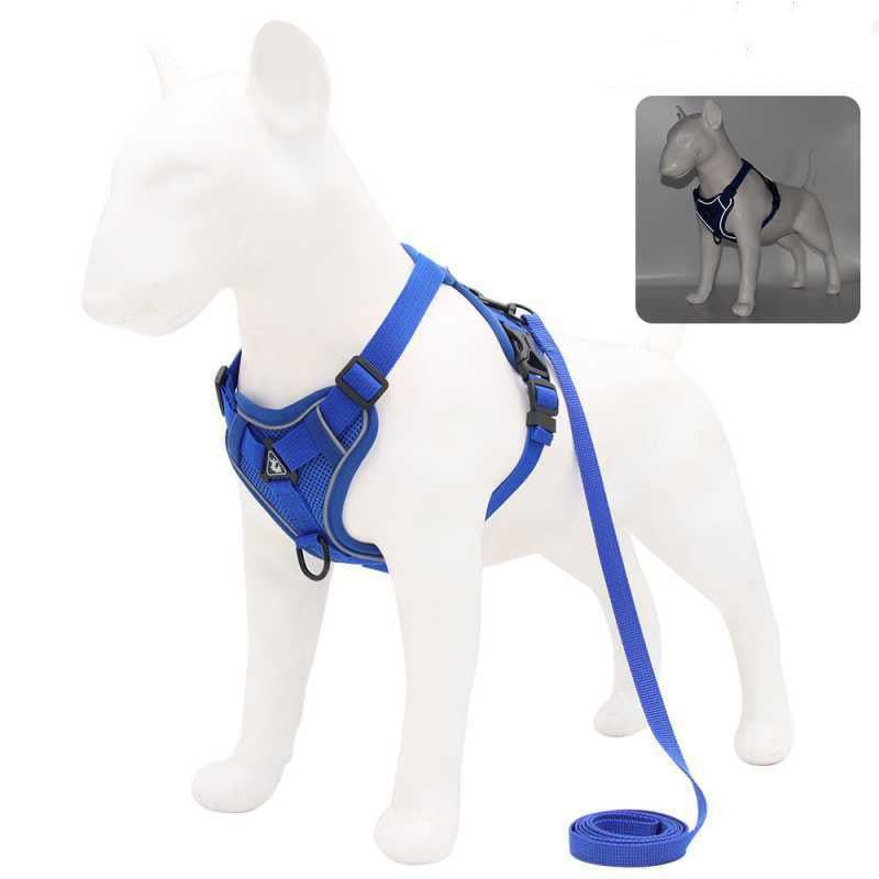 Reflective Vest-Style Harness for Small to Medium Dogs