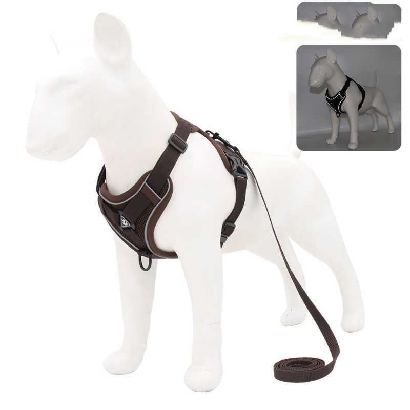 Reflective Vest-Style Harness for Small to Medium Dogs